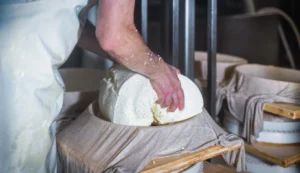 Sajtkészítő manufaktúra